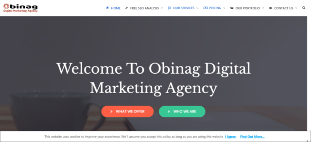 Obinag Digital Marketing Agency - Home Page Copy